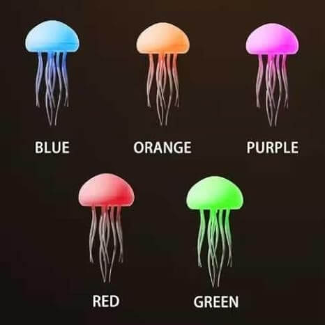 Jellyfish LED Night Light – Smart Voice Control, Colour Changing, USB Rechargeable Desk Lamp